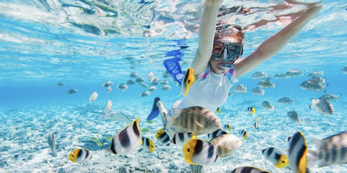 越南 富國島 員工旅遊