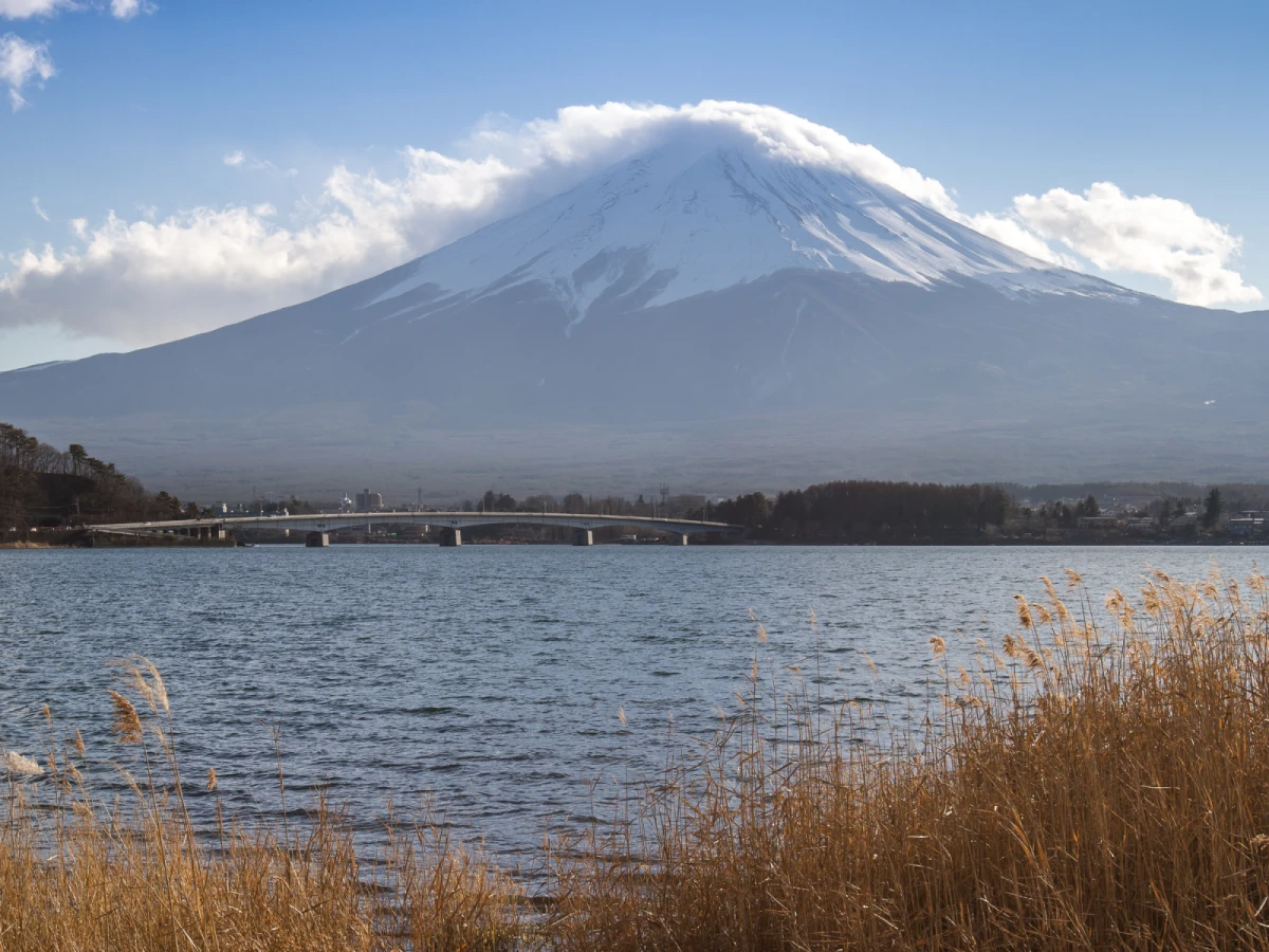 【東京包車旅遊】淺草觀音寺雷門、麻布台之丘、冰川神社五日遊