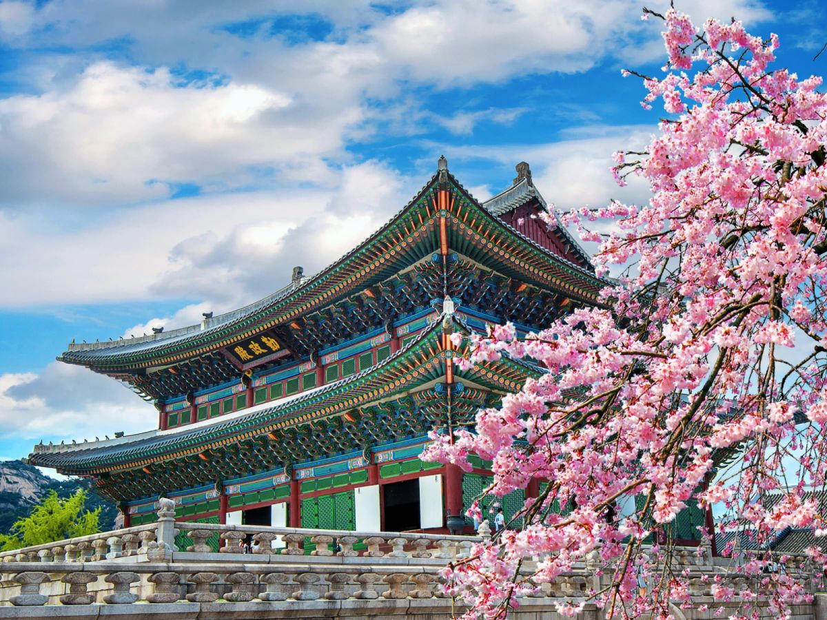 【櫻花首爾】入住兩晚五花飯店、樂天世界