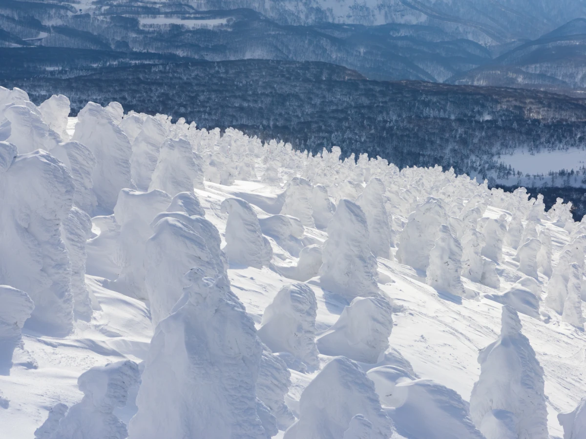【東北】東京進出、東北三大樹冰全覽