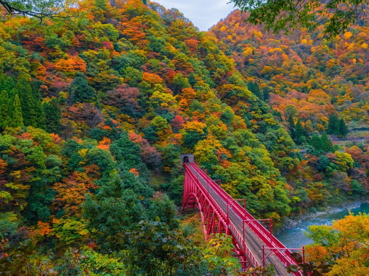 【楓紅名古屋】黑部立山+黑部鐵道+合掌村雙溫泉