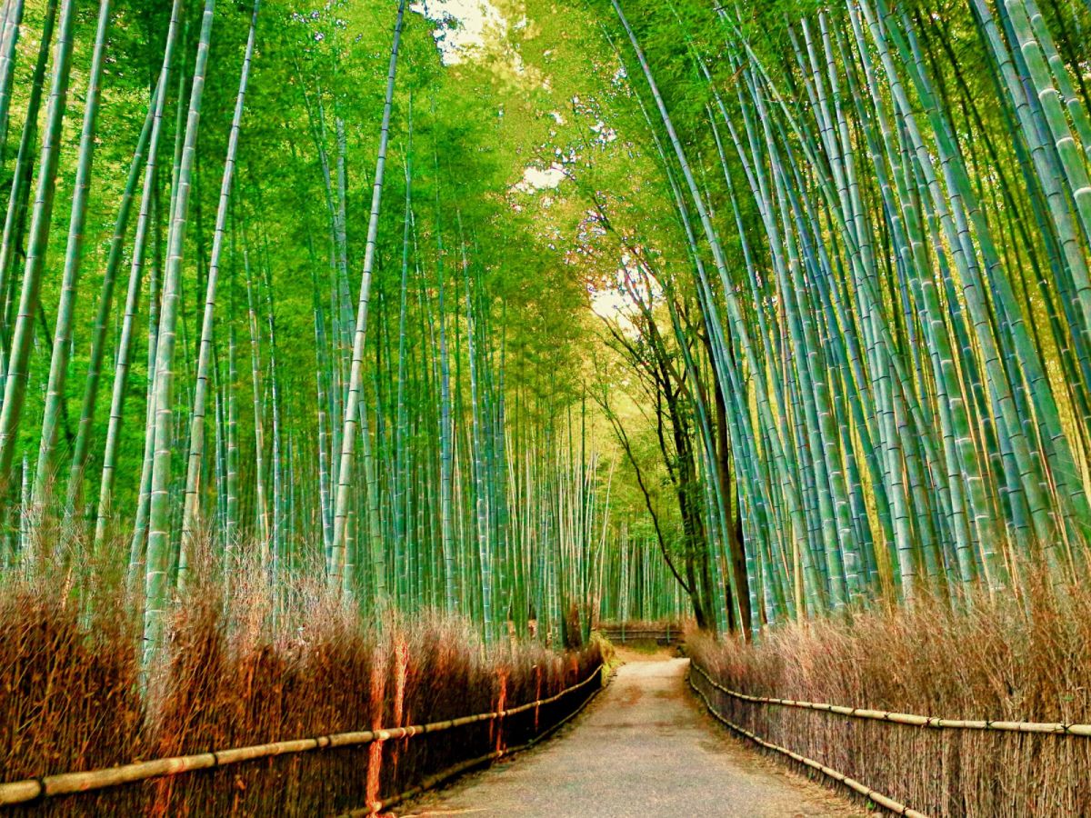 【四都關西】神戶進出、暢遊京阪神奈6日