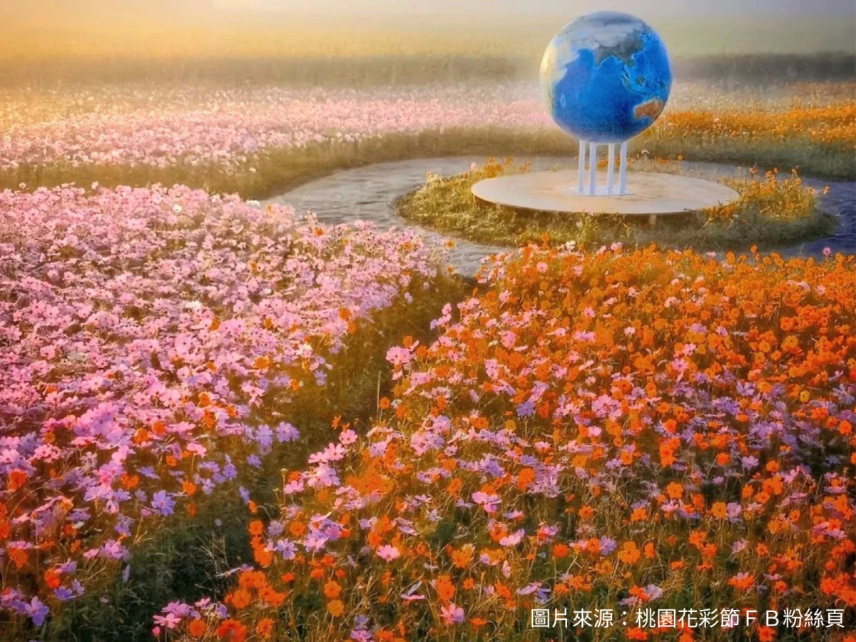 台北出發-桃園浪漫花彩節一日遊