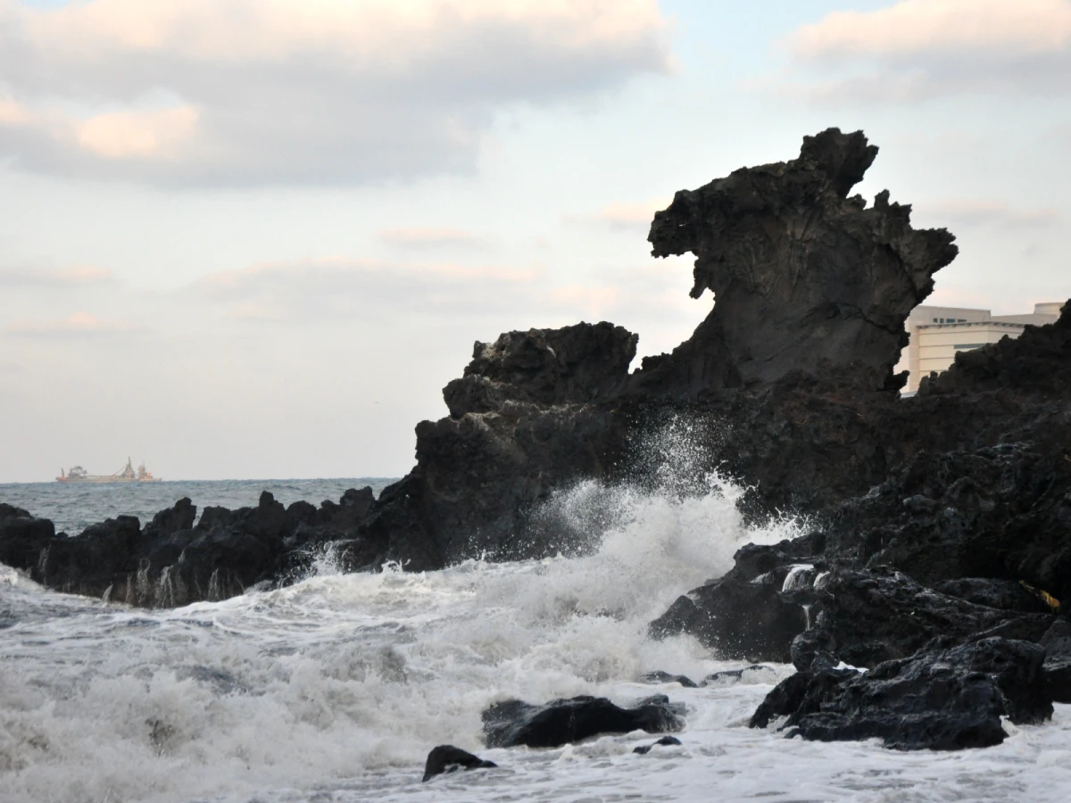 【歡樂濟州】龍頭巖、泰迪熊博物館、山君不離5日