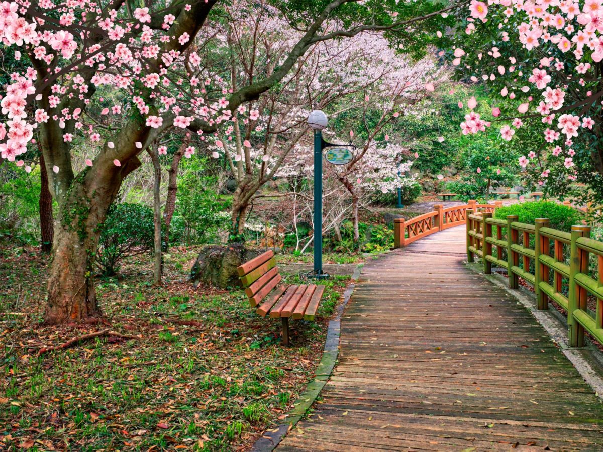 【賞櫻濟州】韓華渡假村、亞洲最大水族館AQUA PLANE