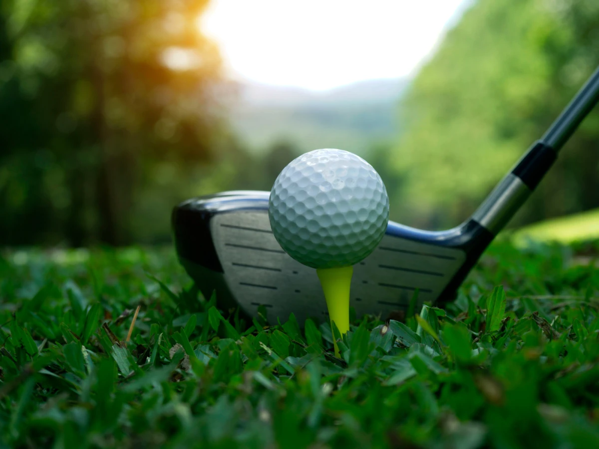 【東京包車旅遊】茨城高爾夫四天兩場球