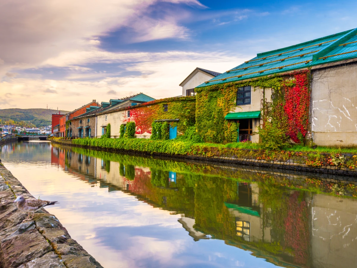 【精彩北海道】函館山百萬景觀、小樽運河、北國三大蟹