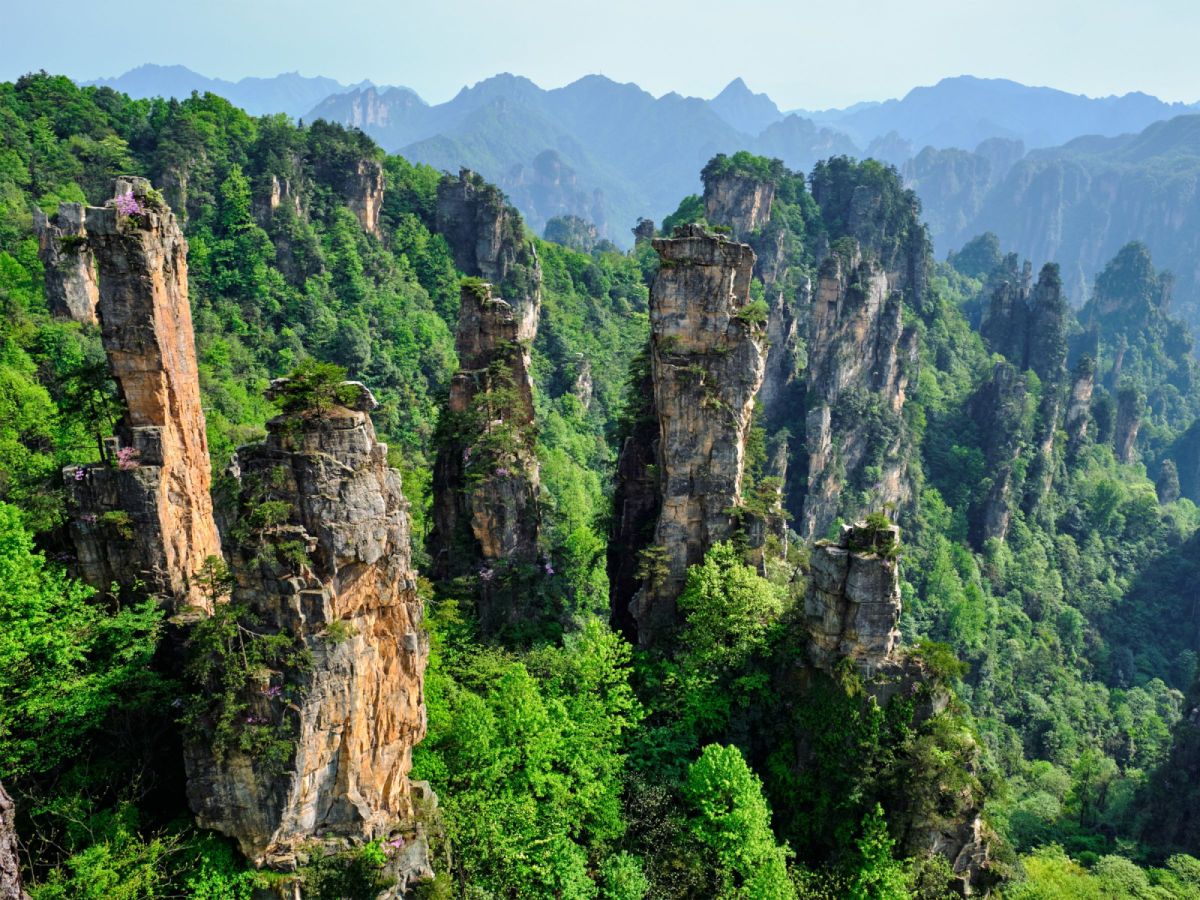 【豪華張家界】無購物八日遊，鳳凰古城、十里畫廊