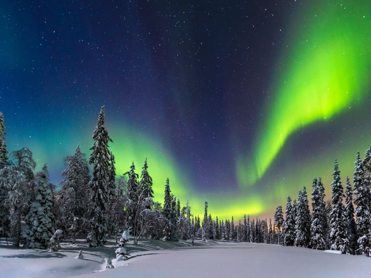 【極光芬蘭】奧盧主教座堂、拉努亞極地野生動物園、聖誕老人村