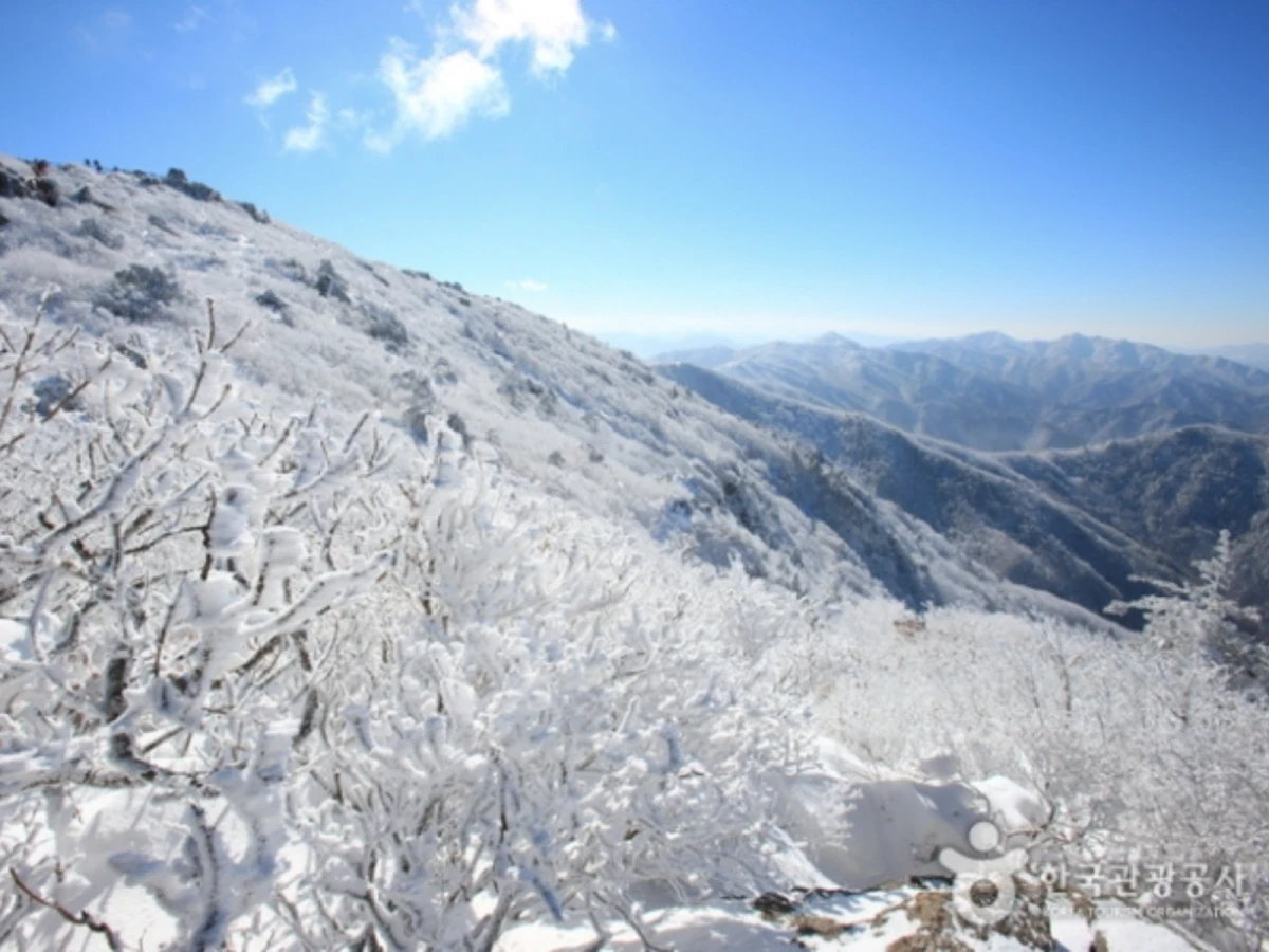 【務安&釜山】德裕山雪川峰、滑雪體驗、全州韓屋村、甘川洞彩繪