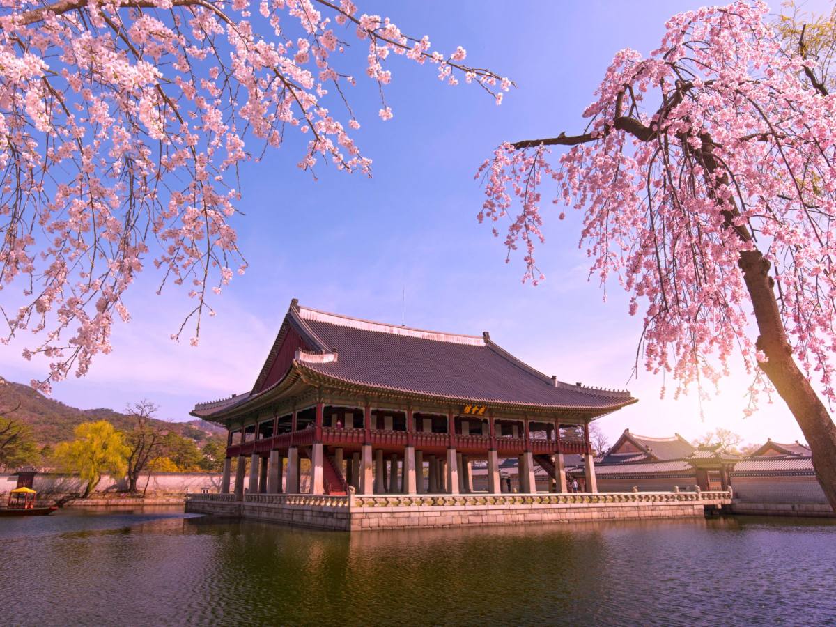 【豪華首爾】景福宮、愛寶樂園、首爾明洞商圈、南山愛情鎖牆