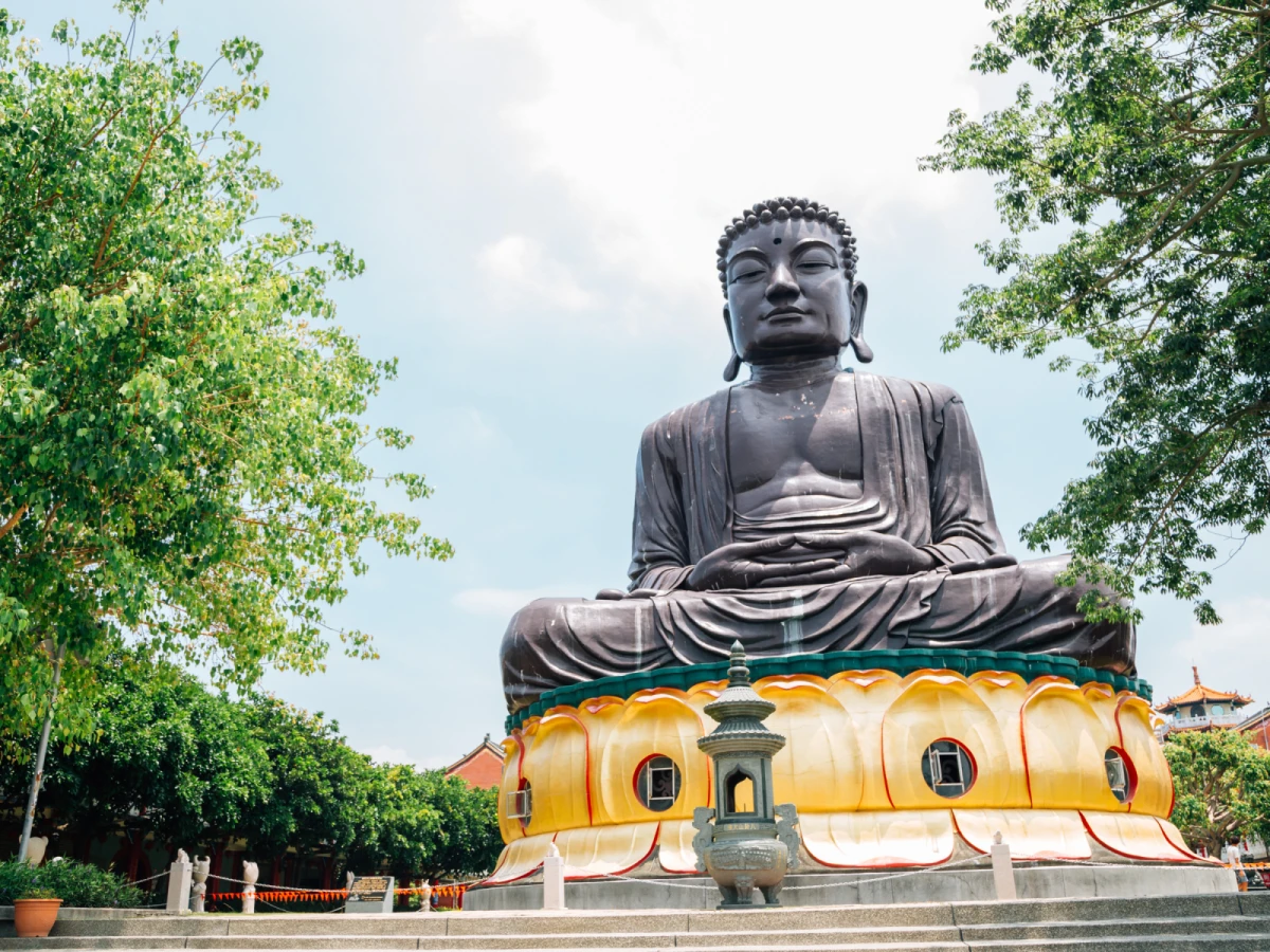 台北出發-杉紅了賞楓趣.八卦山大佛二日遊