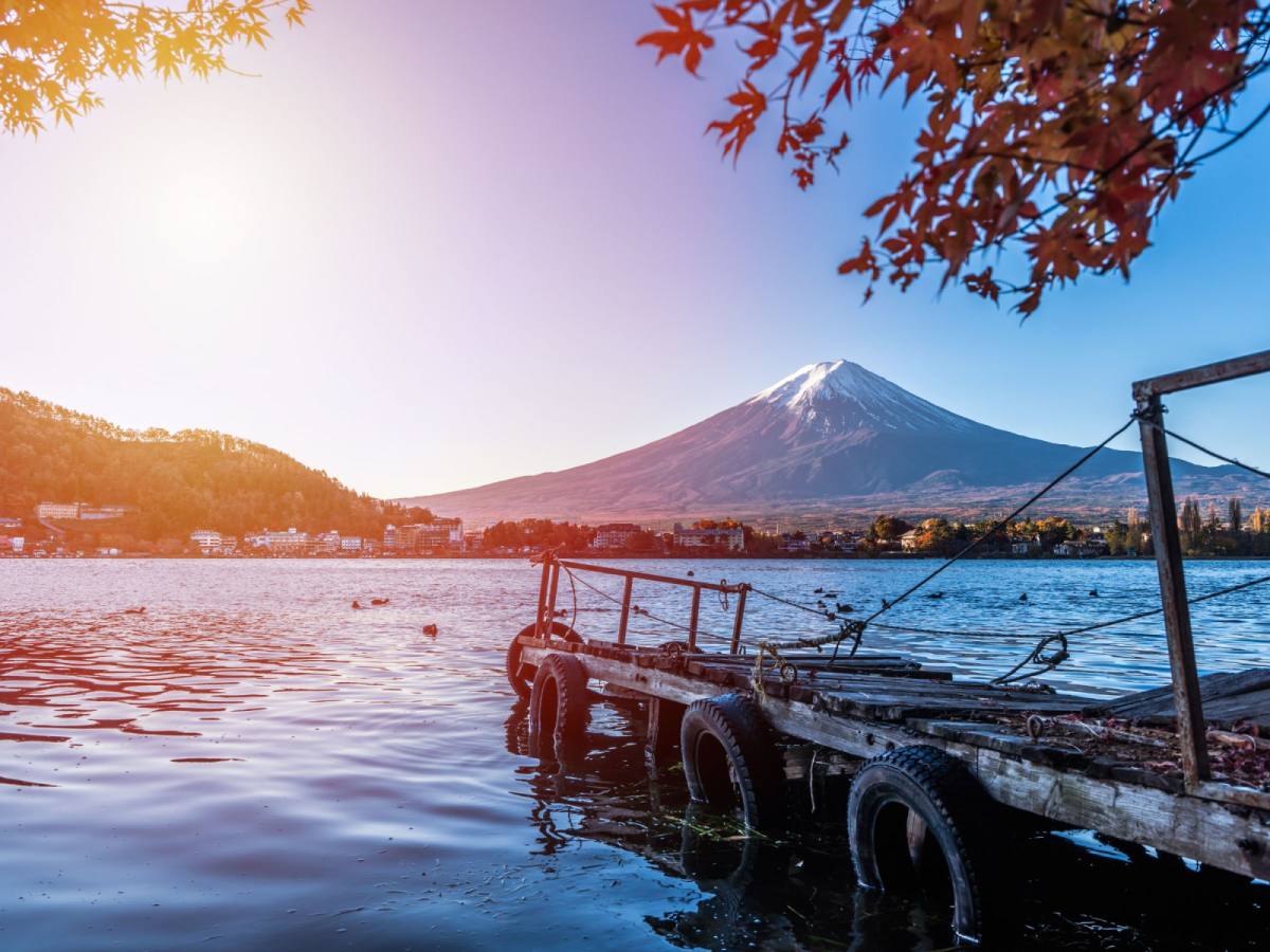 富士山東京｜天空樹+長腳蟹吃到飽