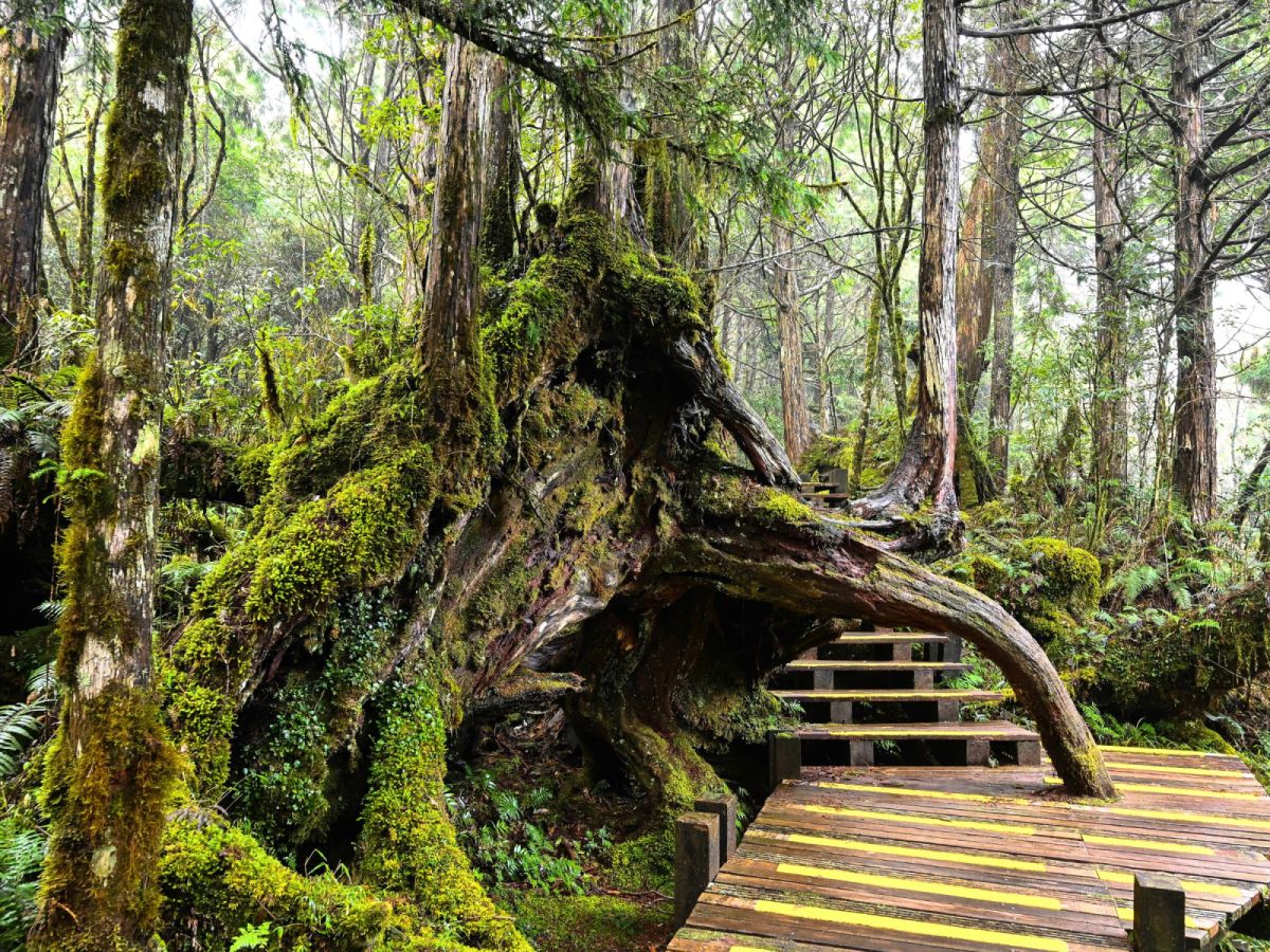台北出發-宜蘭避暑趣二日遊