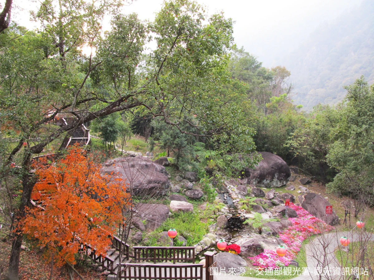 高雄出發-谷關溫泉泡湯~採莓二日遊