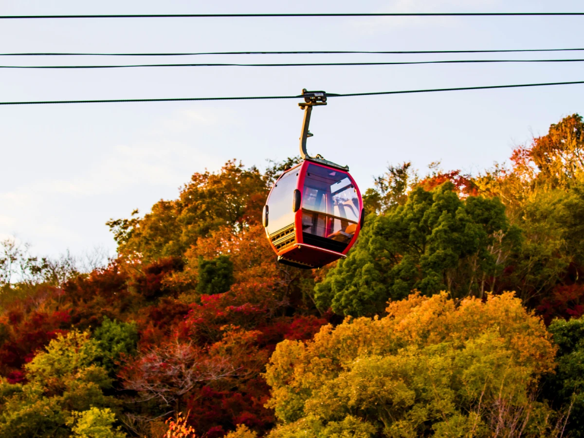 【賞楓釜山】愛來水族館、兩晚五花飯店、八公山道立公園纜車賞楓