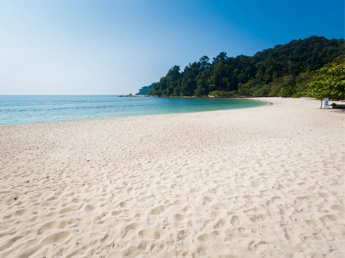 【新檳全覽】行程｜新進檳出新檳邦喀島 10 日