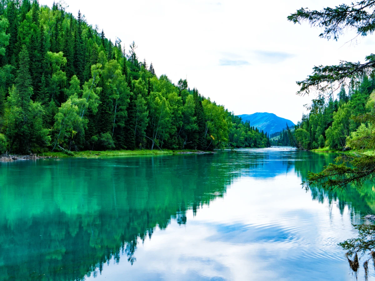 【豪華醉美北疆】無購物、東方瑞士、喀納斯湖大環線13日