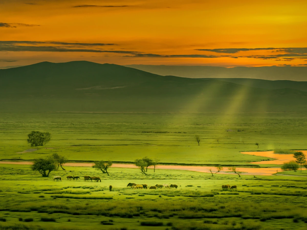 藍天之國蒙古國｜成吉思汗探索，揭開神秘國度面紗