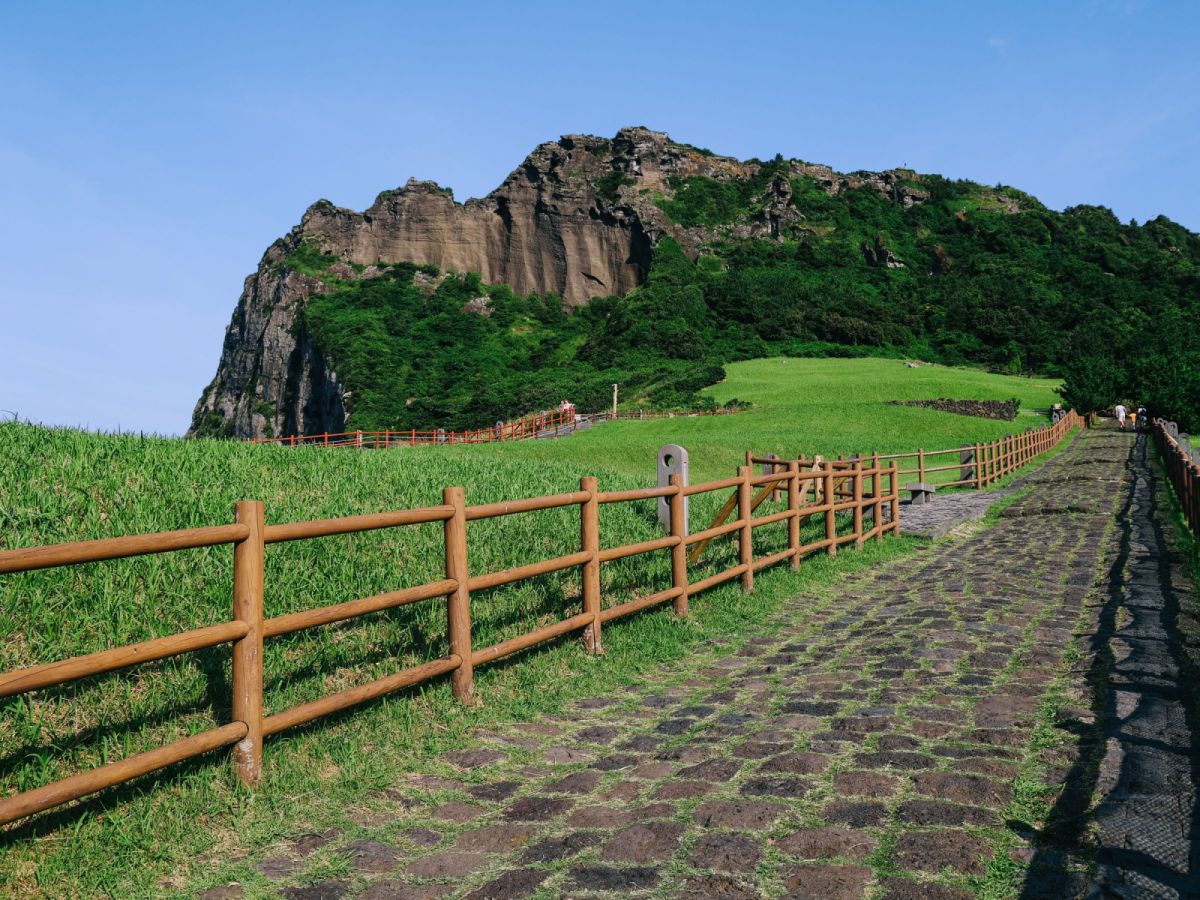 【濟州包車旅遊】愛的迫降治癒之森、藥泉寺、東門市場五日遊