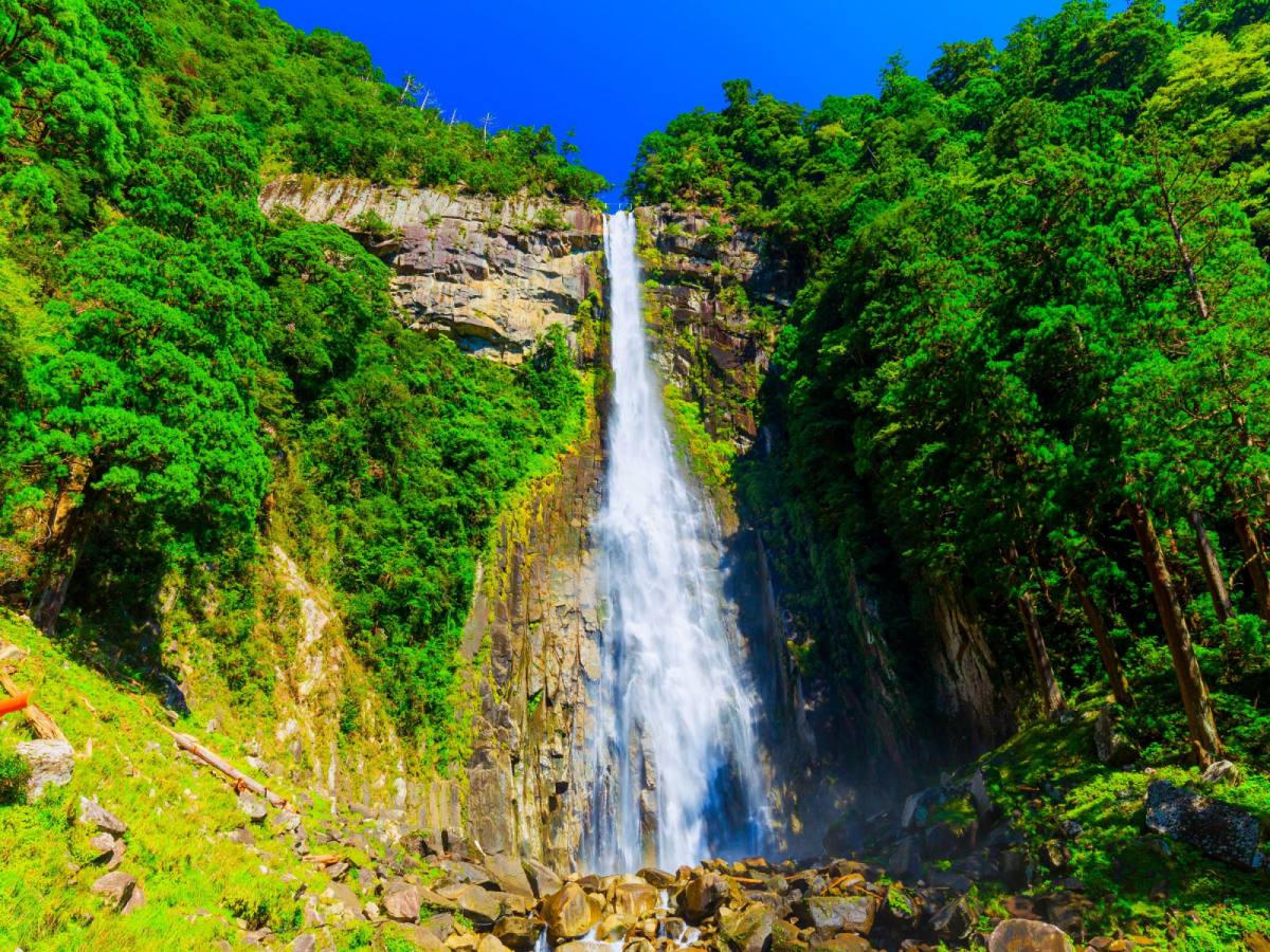【南紀豪華大阪】伊勢神宮、熊野古道、三段壁