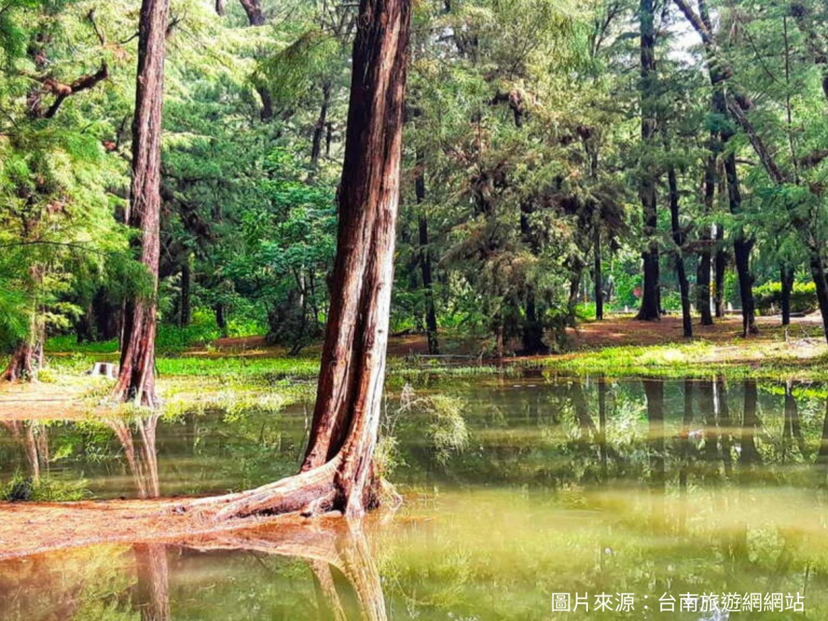 台北出發-台南漁光島二日遊