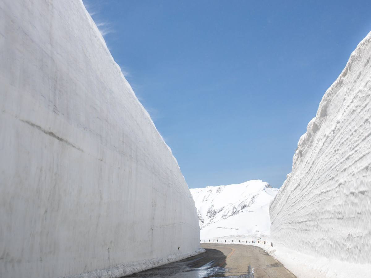 【黑部立山】東京進出,紫藤物語、合掌村、上高地、黑部立山雪壁
