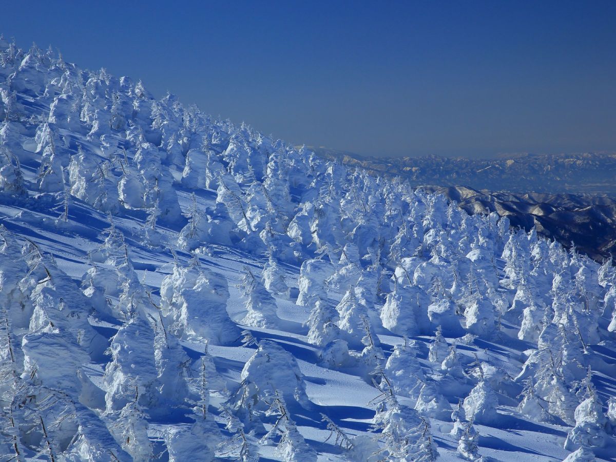 【樹冰名古屋】合掌村、高山古街、雙溫泉