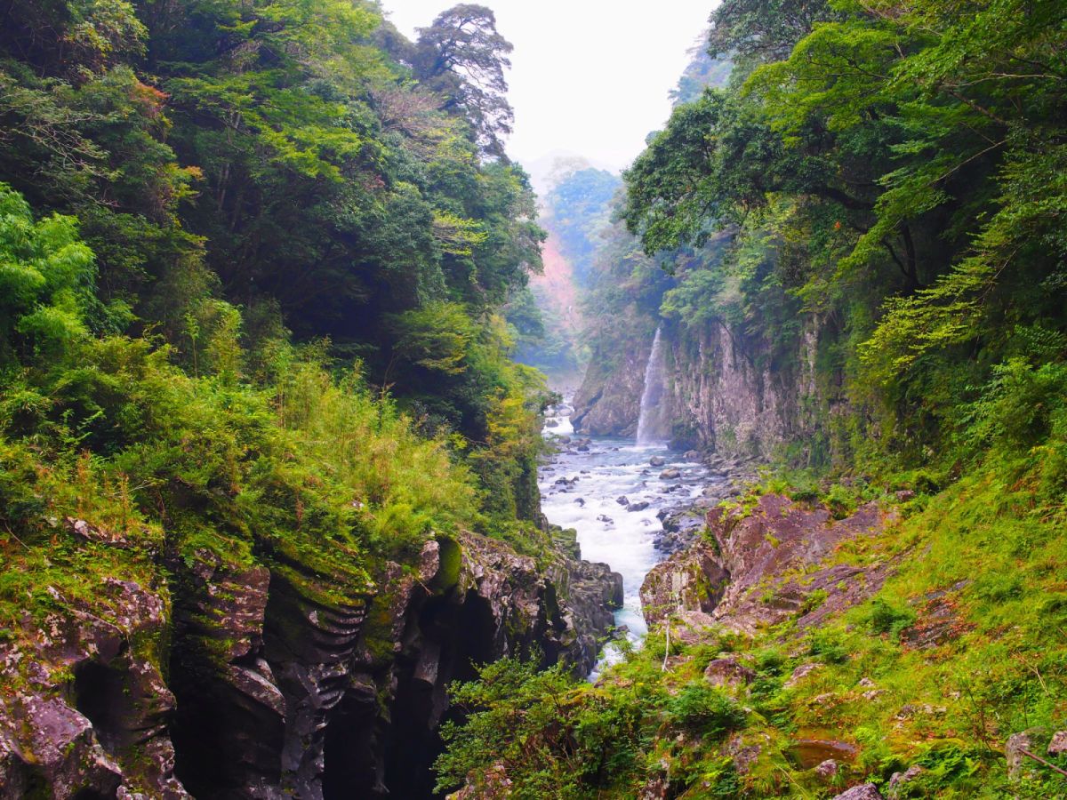 【秘境九州】湯布院、高千穗峽、霧島神宮、熊本跨海渡輪