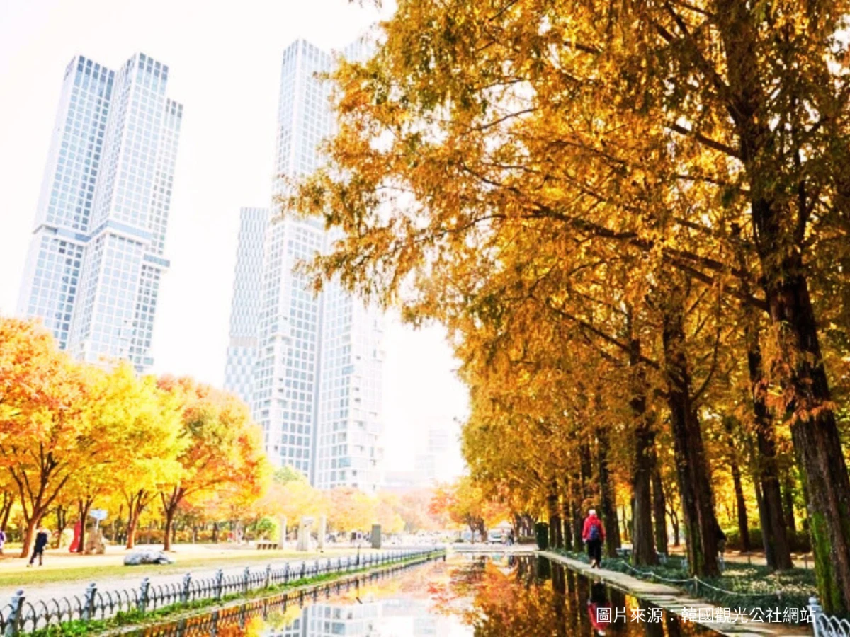 【首爾+濟洲】雙城七日遊，濟州積木學園、首爾愛寶樂園