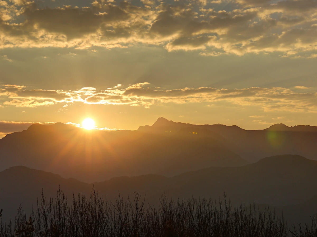 台北出發-1231~阿里山跨新年賞日出
