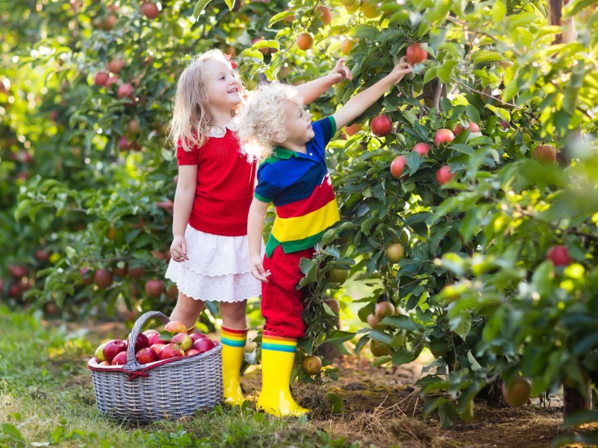 【豪華仙台】松島遊船、藏王狐狸村、雙溫泉、鐵道體驗