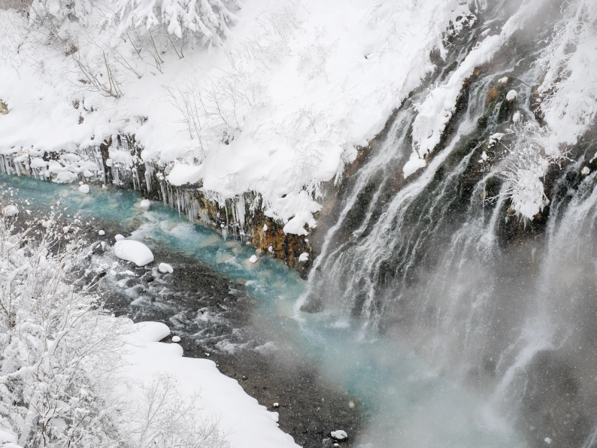 【新春北海道】北海道破冰船、溫泉、三大蟹&和牛