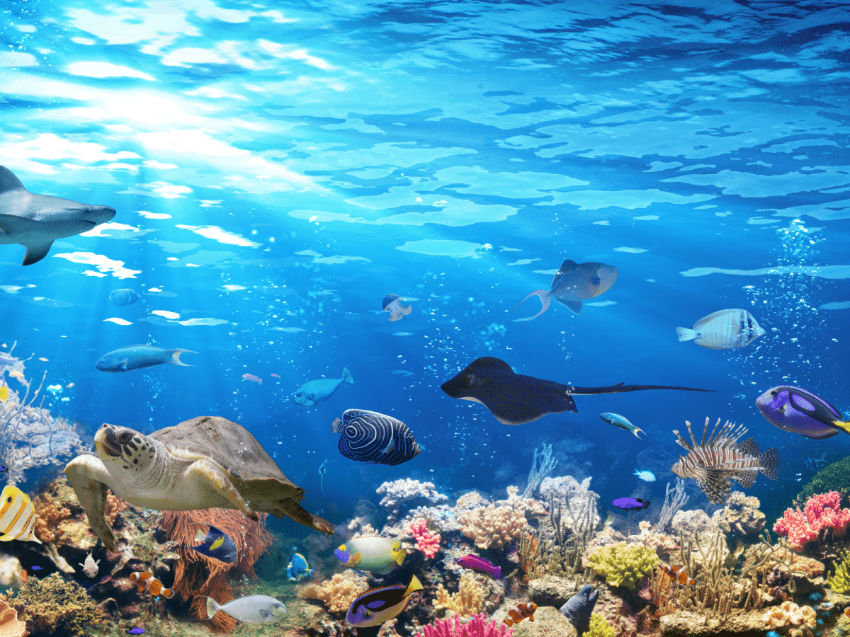 【豪華沖繩】美海水族館、東方小希臘、古宇利島