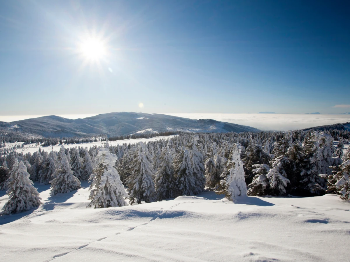 【仙台】藏王樹冰、銀山溫泉、會津若松城、松島