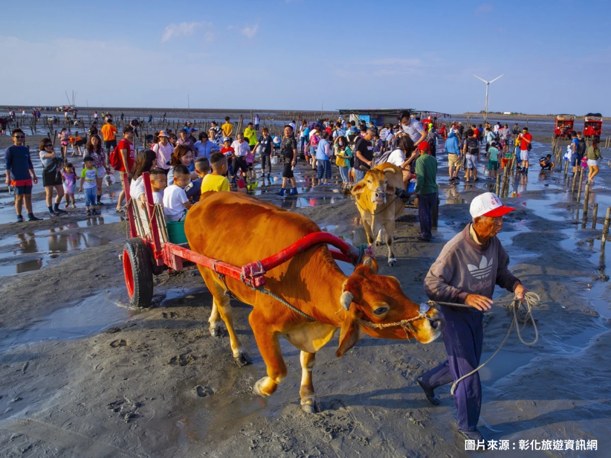 台北出發-彰化夏日採蚵趣二日遊