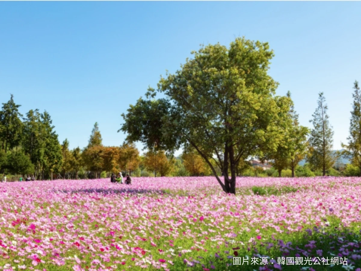 【務安進釜山出】釜山麗水+順天灣國家庭園