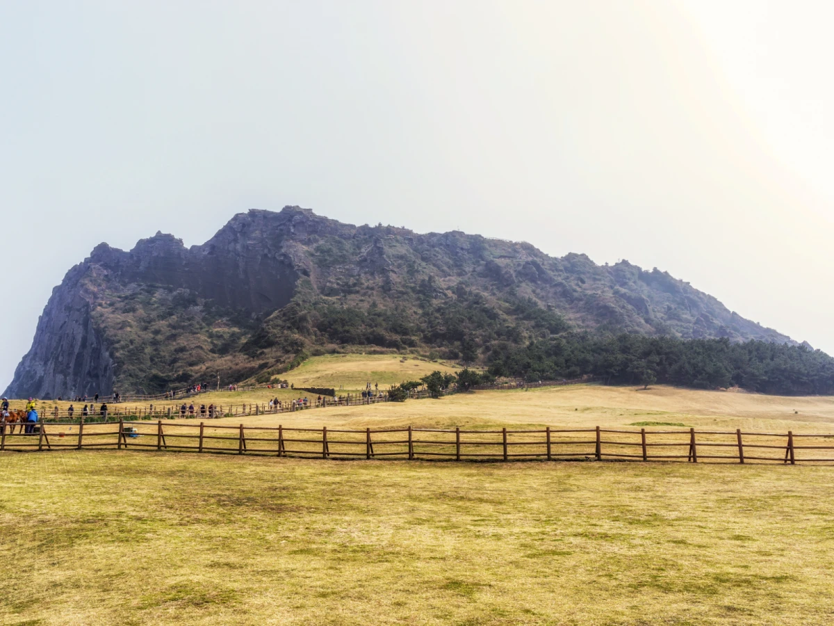 【特惠濟州】城山日出峰、海水溫泉汗蒸幕