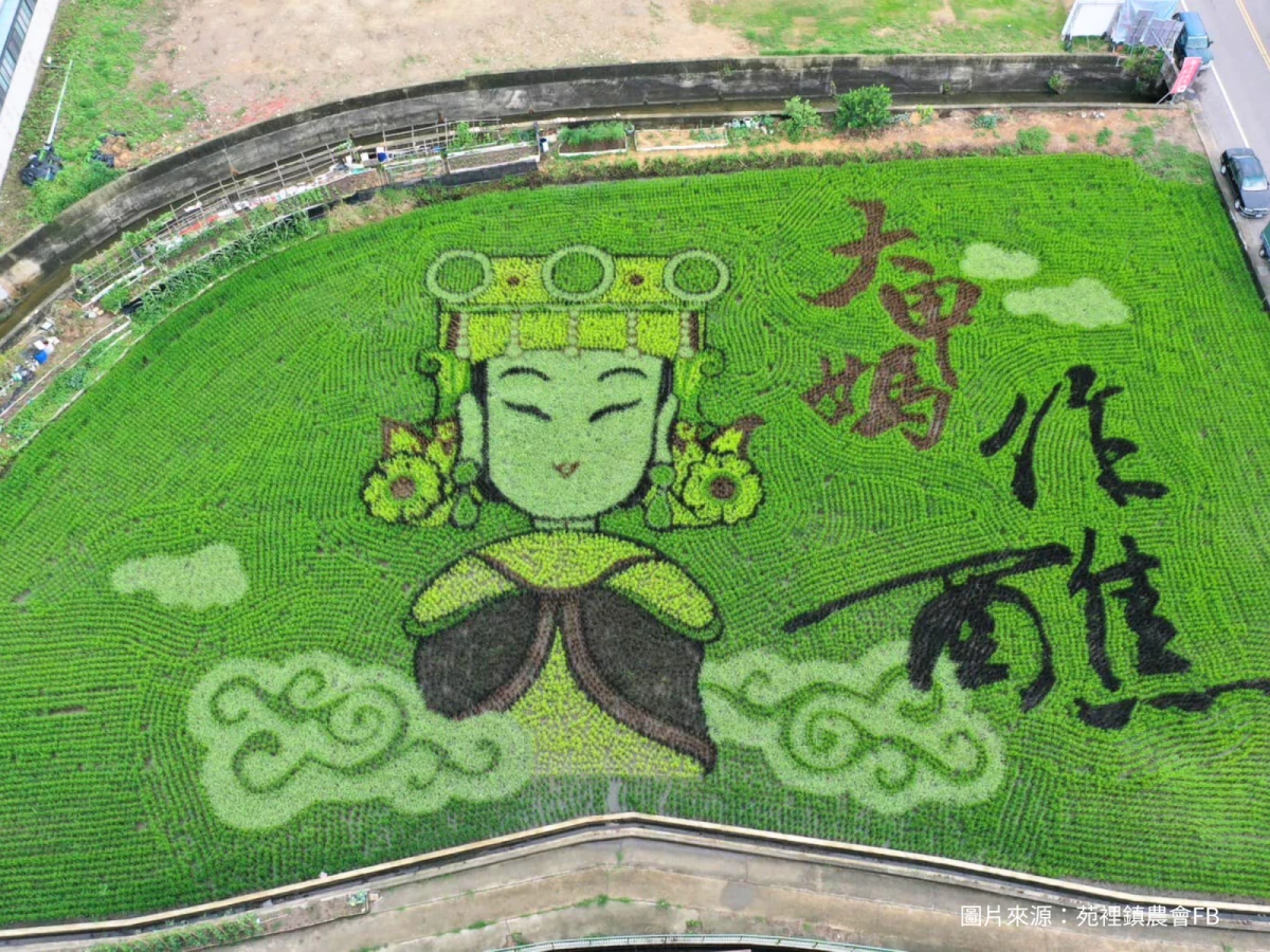 台中出發-苗栗苑裡稻田彩繪一日遊