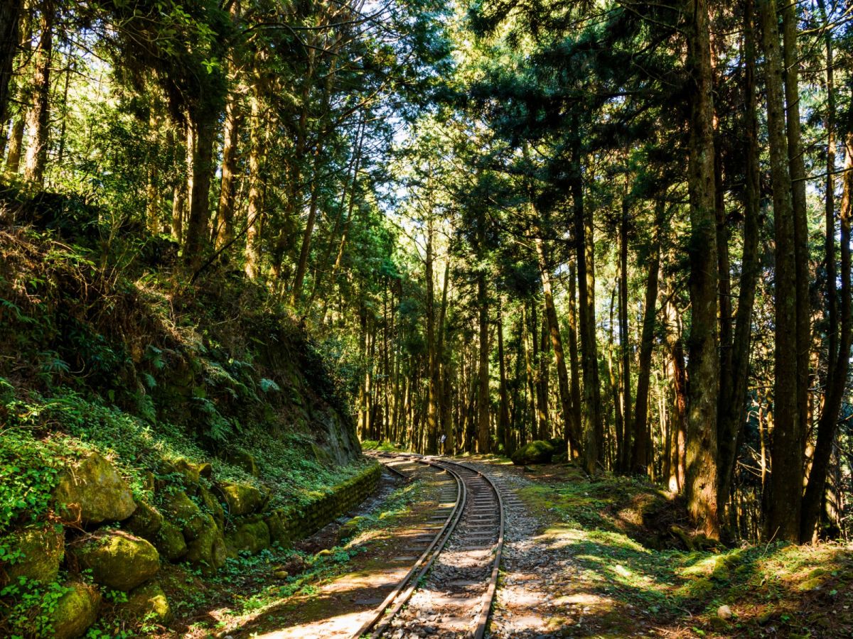 台中出發-嘉義阿里山~奮起湖老街三日遊