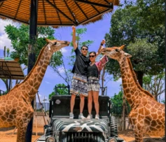 大城動物園Sriayuthaya Lion Park