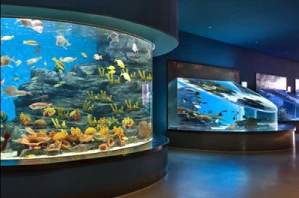 濟州水世界AQUAPLANET