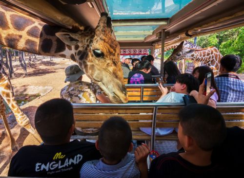 【精彩清邁】泰北藍白廟、泰服文化體驗6日