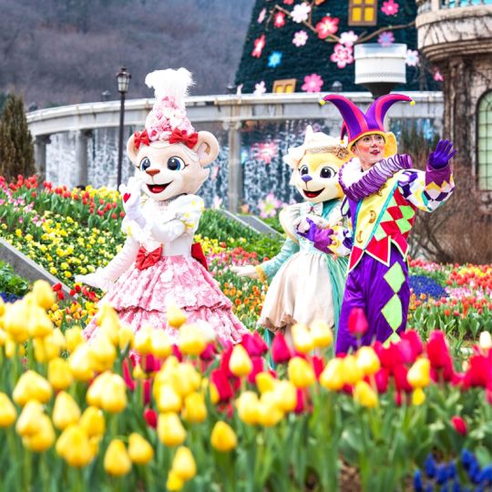 【親子樂園首爾】首爾大公園、愛寶樂園、特麗愛3D美術館