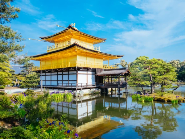 日本神社巡禮指南|探索信仰與文化的絕美旅程