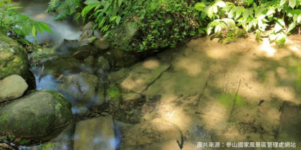四十二份湧泉自然生態步道