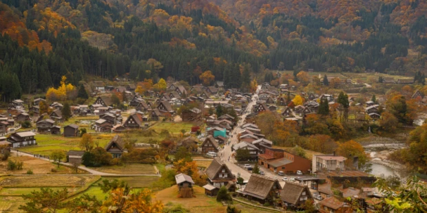 白川鄉合掌村(賞楓)