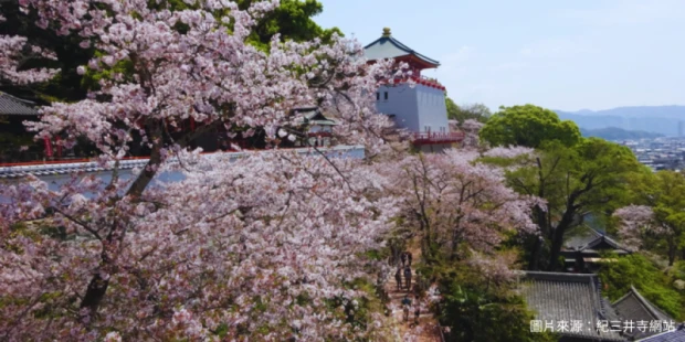 紀三井寺