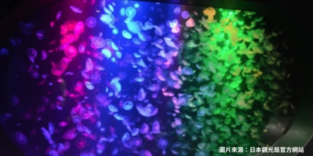 鶴岡加茂水族館