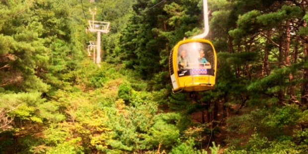 八公山道立公園+纜車